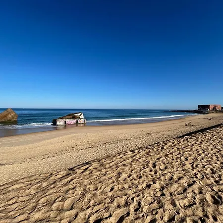 Magnifique Proche Golf & Centre D' Hossegor Avec Jacuzzi Capbreton