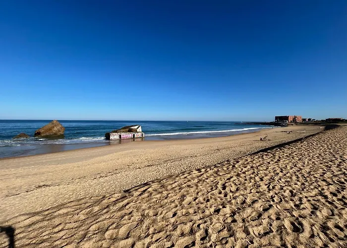 Magnifique Proche Golf & Centre D' Hossegor Avec Jacuzzi קפברטון